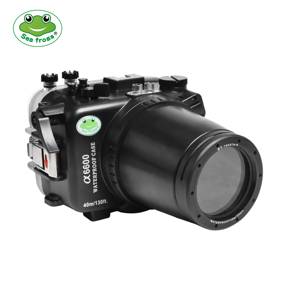 SeaFrogs A6600 black  + FP 90mm M67 T1     Sony A6600   SEL90M28G